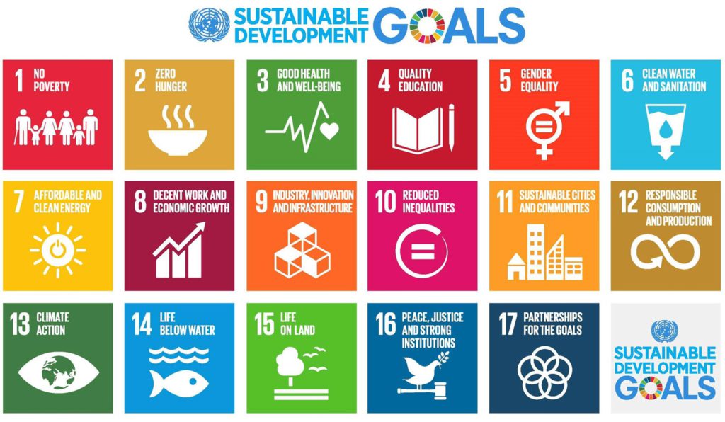 Achieving rights and inclusion: how WeSolve can contribute to the mission of the United Nations